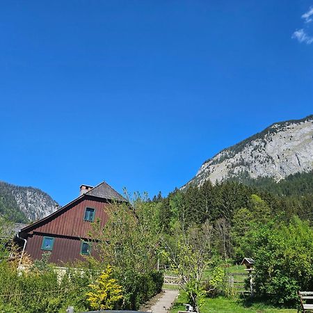 Premium Apartment Mit Privatem Whirlpool, Sauna, Garten Sankt Martin am Grimming Kültér fotó