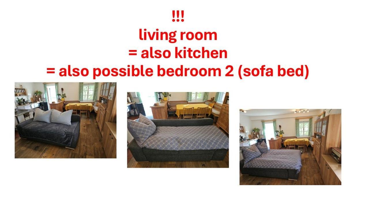 Premium Apartment Mit Privatem Whirlpool, Sauna, Garten Sankt Martin am Grimming Kültér fotó