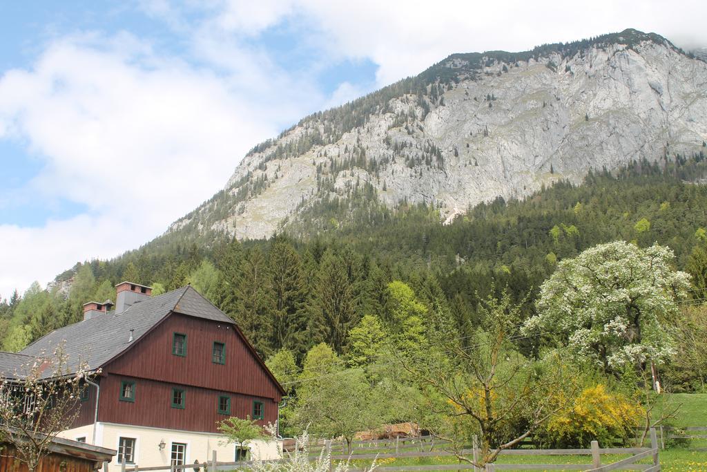 Premium Apartment Mit Privatem Whirlpool, Sauna, Garten Sankt Martin am Grimming Kültér fotó